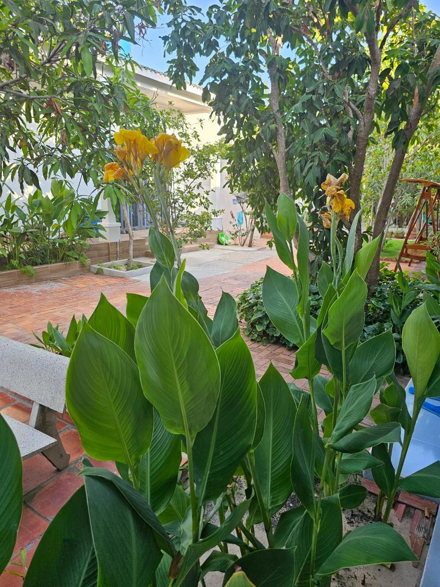 Cay Phuong Guesthouse Mui Ne Exterior photo